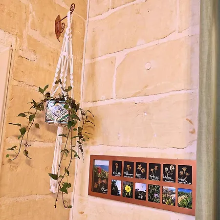 Intothegreen - Art House On Gozo בית נופש