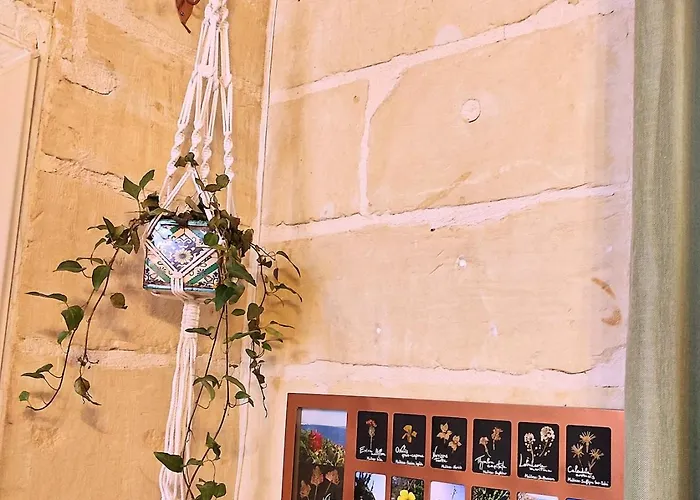 Intothegreen - Art House On Gozo Dom wakacyjny